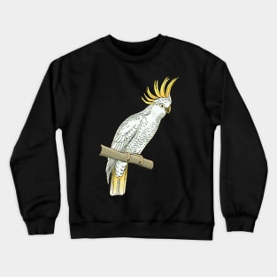 Sulfur crested cockatoo Crewneck Sweatshirt